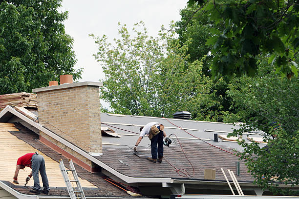 Best Storm Damage Roof Repair  in Lyons, IL
