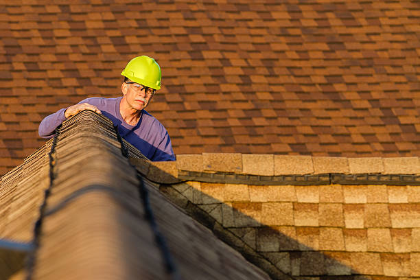 Residential Roof Replacement in Lyons, IL