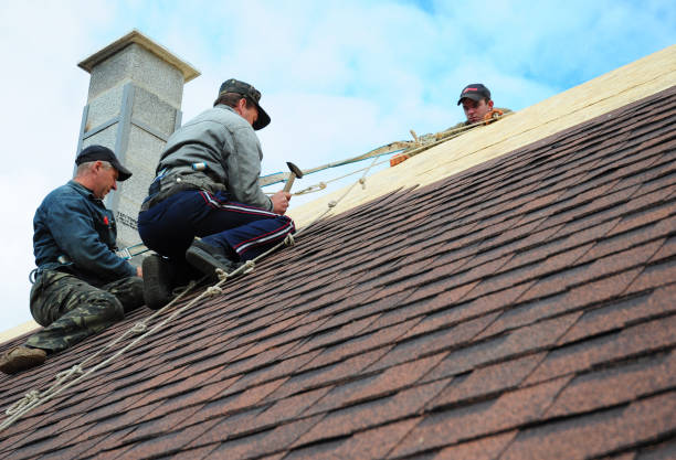 Roof Installation Near Me in Lyons, IL